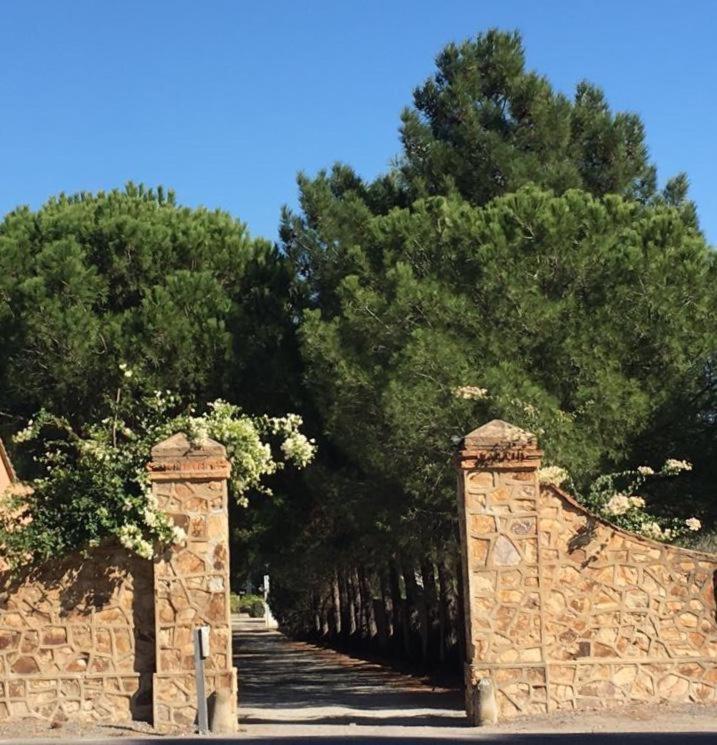 סארוק Suite A Villa D'Orri מראה חיצוני תמונה