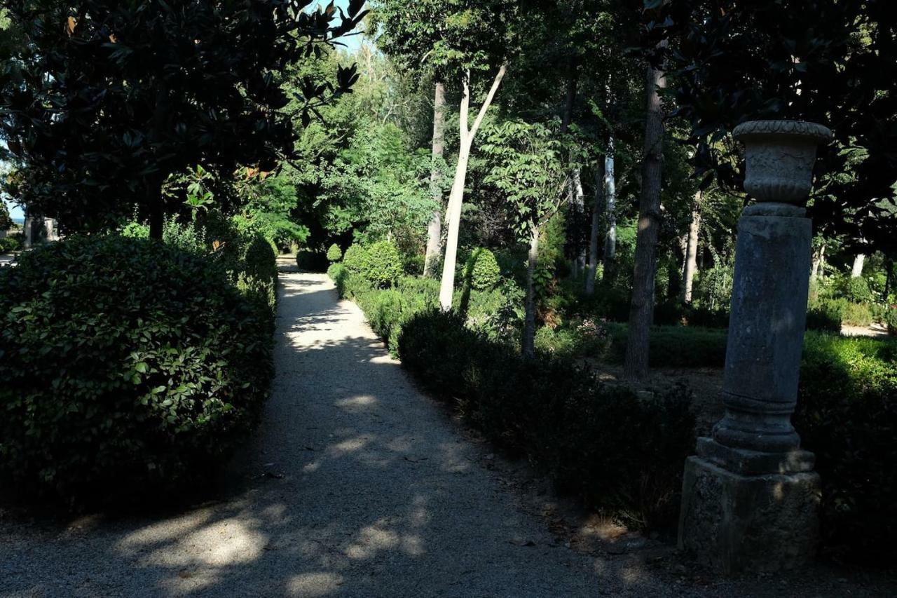 סארוק Suite A Villa D'Orri מראה חיצוני תמונה
